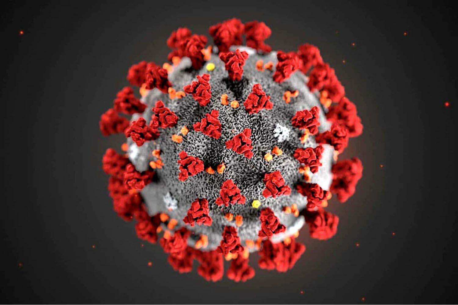 emergenza coronavirus